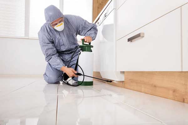 General Pest Control